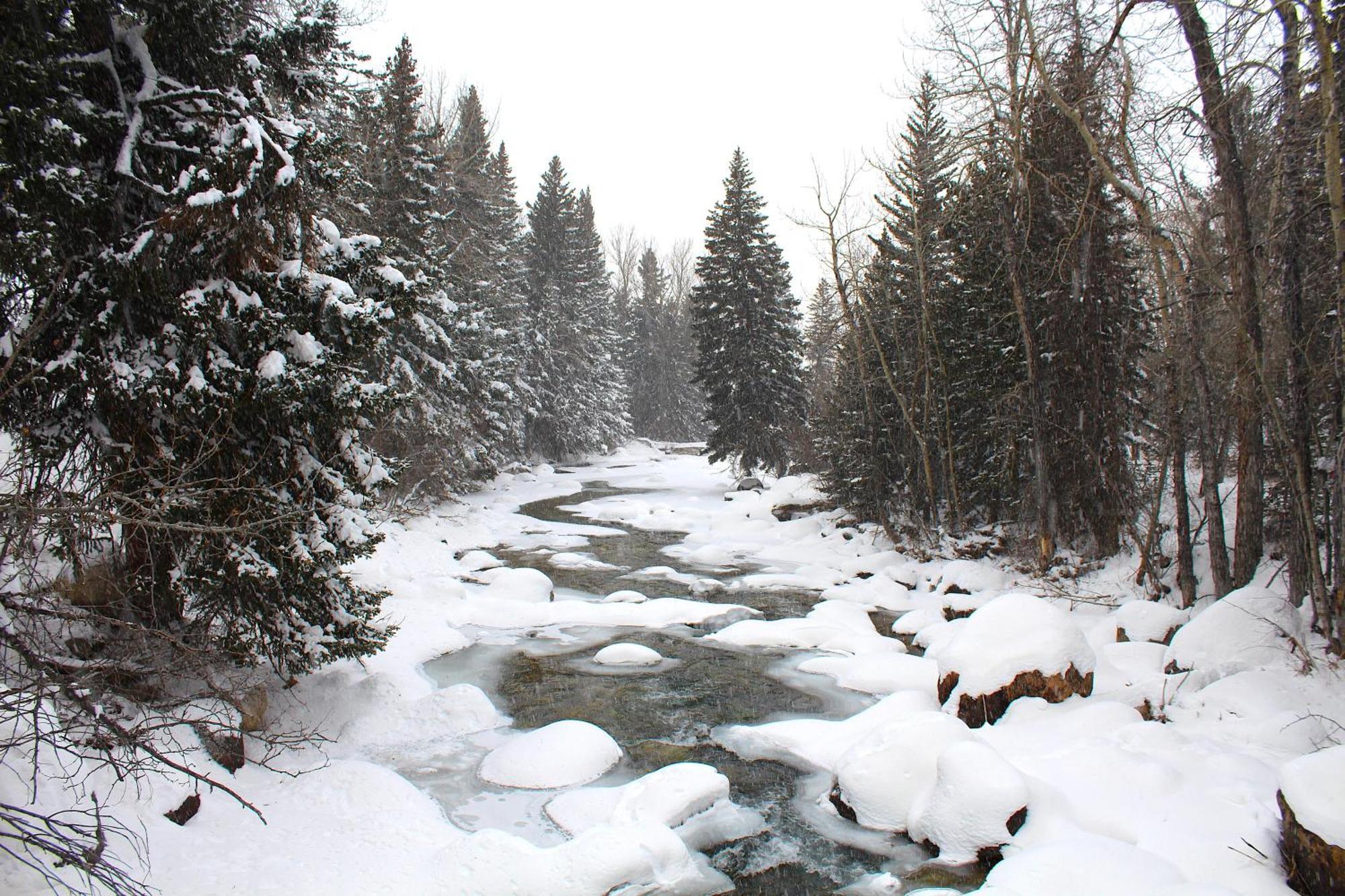 Rock Creek Resort Red Lodge Luaran gambar